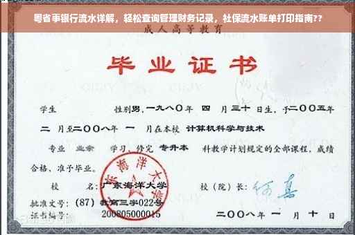 粤省事银行流水详解，轻松查询管理财务记录，社保流水账单打印指南??