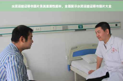 水泥运输证明书图片及其重要性解析，全面展示水泥运输证明书图片大全