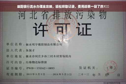 益阳银行流水办理全攻略，轻松获取记录，费用透明一目了然?⚡️