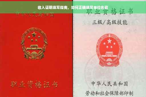 收入证明填写指南，如何正确填写单位名称