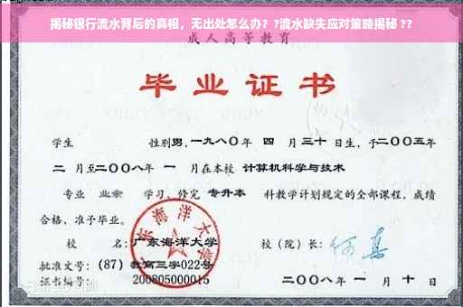 揭秘银行流水背后的真相，无出处怎么办？?流水缺失应对策略揭秘 ??
