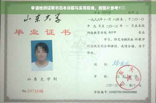 申请检测证明书范本详解与实用指南，附图片参考?⚡️
