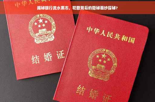 揭秘银行流水黑市，犯罪背后的隐秘面纱探秘?