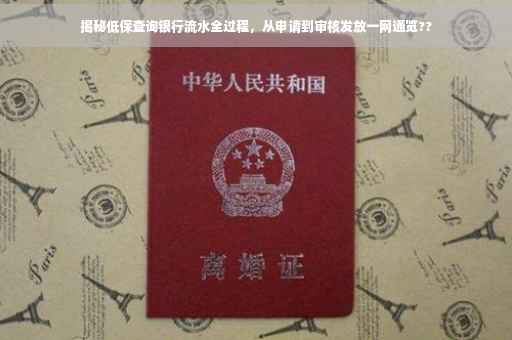 揭秘低保查询银行流水全过程，从申请到审核发放一网通览??