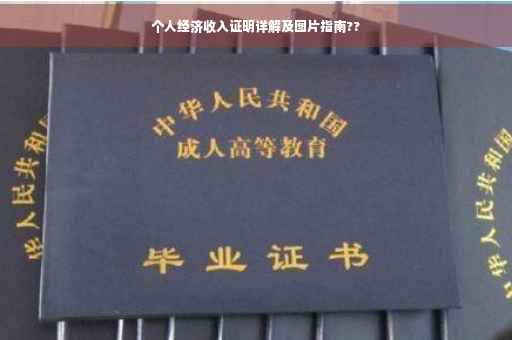 个人经济收入证明详解及图片指南??
