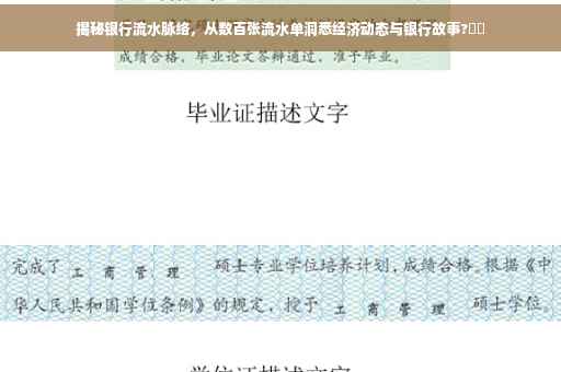 揭秘银行流水脉络，从数百张流水单洞悉经济动态与银行故事?⚡️