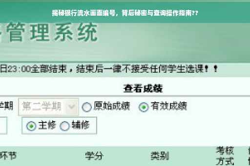 揭秘银行流水画面编号，背后秘密与查询操作指南??