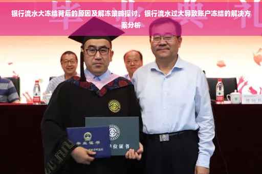 银行流水大冻结背后的原因及解冻策略探讨，银行流水过大导致账户冻结的解决方案分析