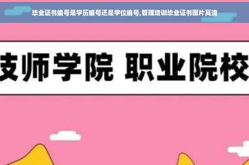 毕业证书编号是学历编号还是学位编号,管理培训毕业证书图片高清
