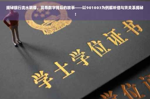揭秘银行流水明细，洞悉数字背后的故事——以901003为例解析借与贷关系揭秘！