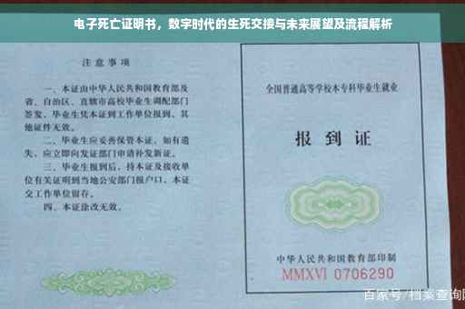 电子死亡证明书，数字时代的生死交接与未来展望及流程解析