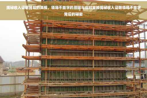 揭秘收入证明背后的真相，领导不签字的原因与应对策略揭秘收入证明领导不签字背后的秘密