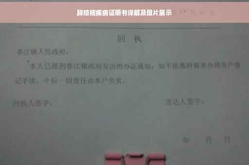 肺结核疾病证明书详解及图片展示
