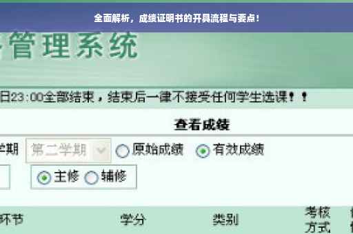 全面解析，成绩证明书的开具流程与要点！