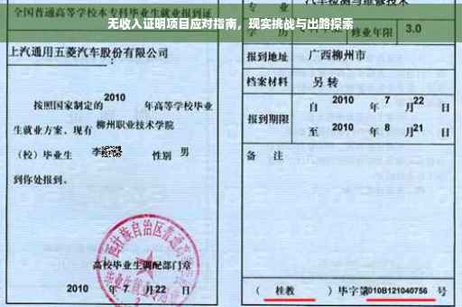 无收入证明项目应对指南，现实挑战与出路探索