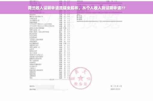 荷兰收入证明申请流程全解析，从个人收入到证明申请??