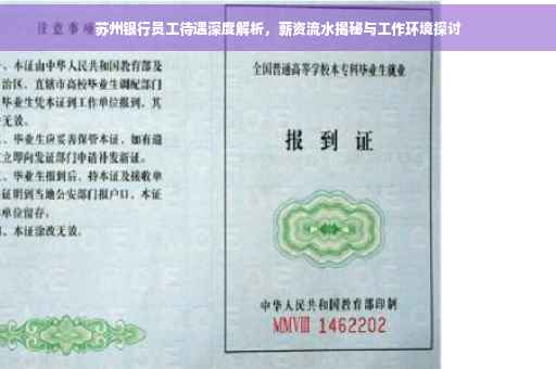 苏州银行员工待遇深度解析，薪资流水揭秘与工作环境探讨
