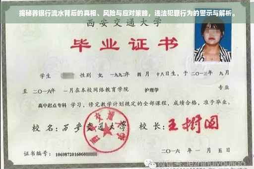 揭秘养银行流水背后的真相、风险与应对策略，违法犯罪行为的警示与解析。