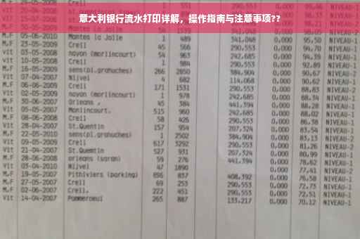 意大利银行流水打印详解，操作指南与注意事项??