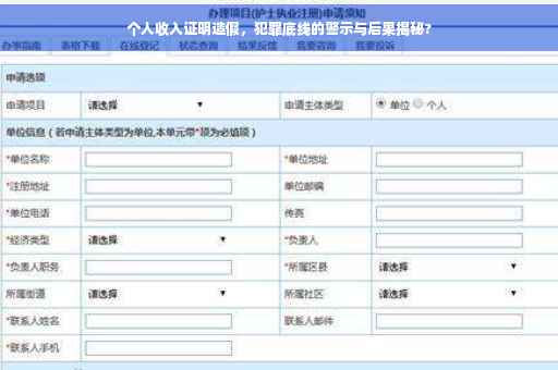个人收入证明造假，犯罪底线的警示与后果揭秘?