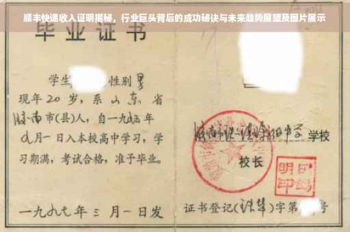 顺丰快递收入证明揭秘，行业巨头背后的成功秘诀与未来趋势展望及图片展示