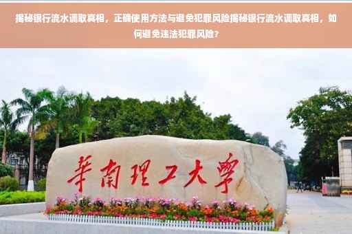 揭秘银行流水调取真相，正确使用方法与避免犯罪风险揭秘银行流水调取真相，如何避免违法犯罪风险？