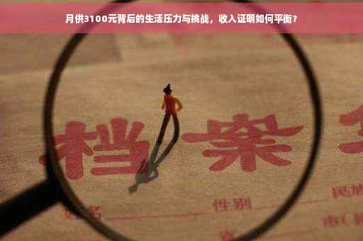 月供3100元背后的生活压力与挑战，收入证明如何平衡？