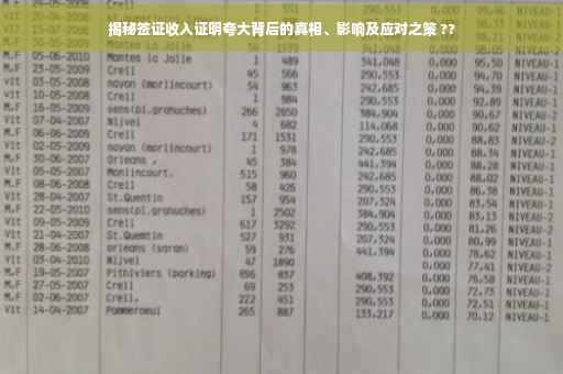 揭秘签证收入证明夸大背后的真相、影响及应对之策 ??