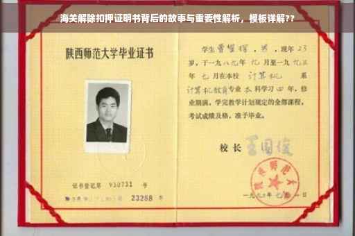 海关解除扣押证明书背后的故事与重要性解析，模板详解??