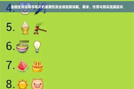 法院生效证明书照片的重要性及法律流程详解，要求、作用与背后流程探究
