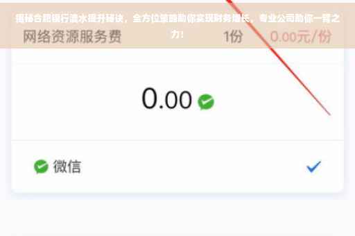 揭秘合肥银行流水提升秘诀，全方位策略助你实现财务增长，专业公司助你一臂之力！