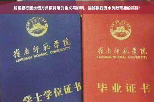 解读银行流水借方负数背后的含义与影响，揭秘银行流水负数背后的真相！