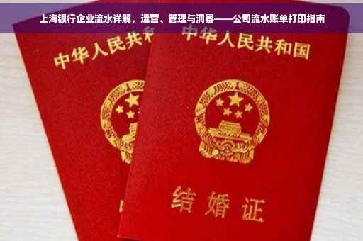 上海银行企业流水详解，运营、管理与洞察——公司流水账单打印指南