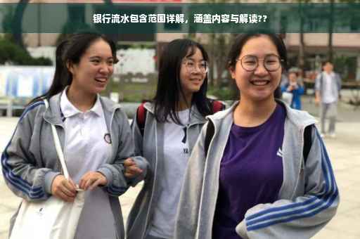 银行流水包含范围详解，涵盖内容与解读??
