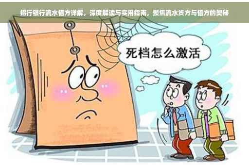 招行银行流水借方详解，深度解读与实用指南，聚焦流水贷方与借方的奥秘