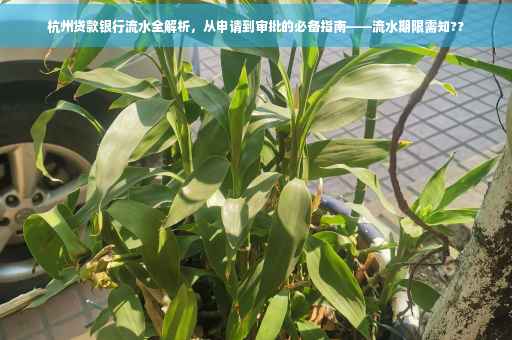 杭州贷款银行流水全解析，从申请到审批的必备指南——流水期限需知??