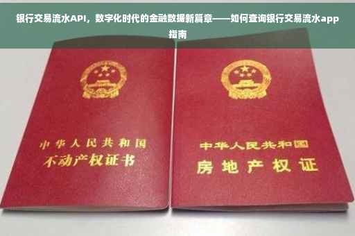 银行交易流水API，数字化时代的金融数据新篇章——如何查询银行交易流水app指南
