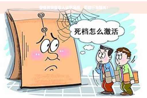 警惕房贷假收入证明风险，犯罪行为曝光！