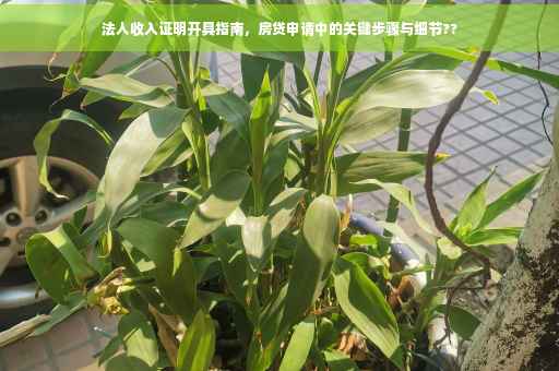 法人收入证明开具指南，房贷申请中的关键步骤与细节??