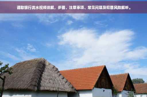 调取银行流水视频详解，步骤、注意事项、常见问题及犯罪风险解析。