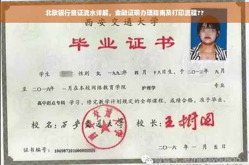 北欧银行签证流水详解，金融证明办理指南及打印流程??