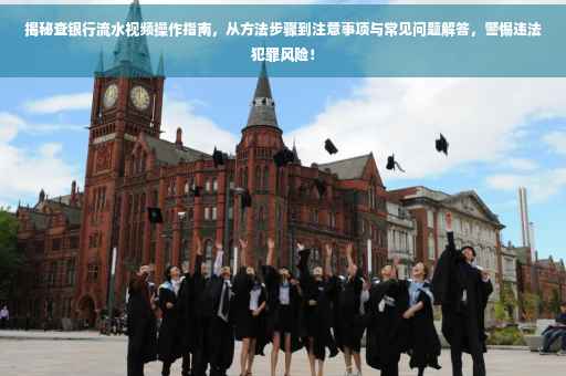 揭秘查银行流水视频操作指南，从方法步骤到注意事项与常见问题解答，警惕违法犯罪风险！
