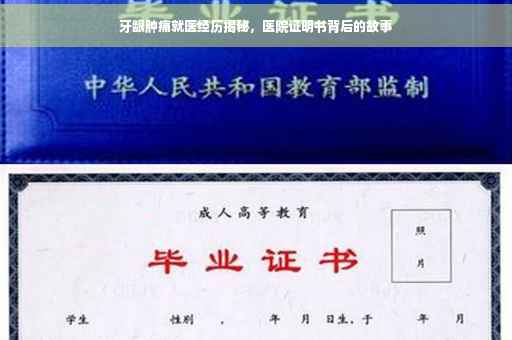 牙龈肿痛就医经历揭秘，医院证明书背后的故事