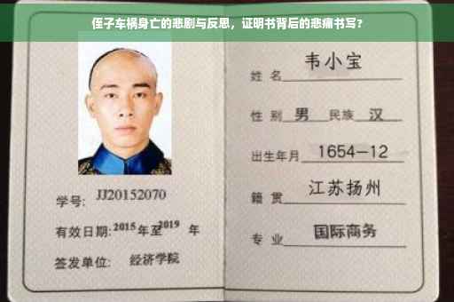 侄子车祸身亡的悲剧与反思，证明书背后的悲痛书写?