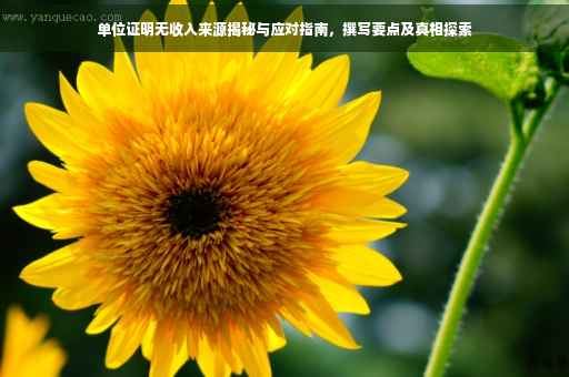 单位证明无收入来源揭秘与应对指南，撰写要点及真相探索