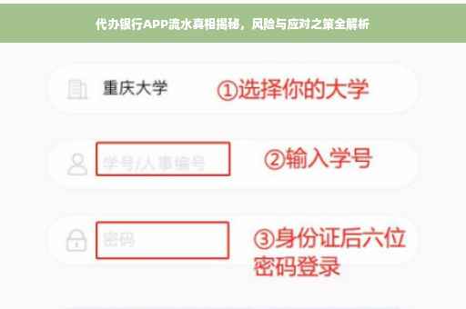 代办银行APP流水真相揭秘，风险与应对之策全解析