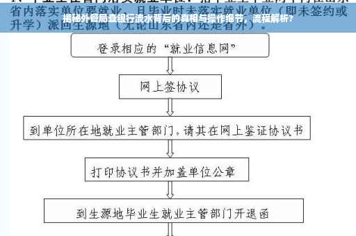 揭秘外管局查银行流水背后的真相与操作细节，流程解析?