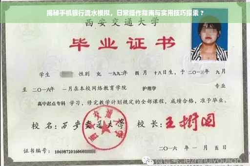 揭秘手机银行流水模拟，日常操作指南与实用技巧探索 ?