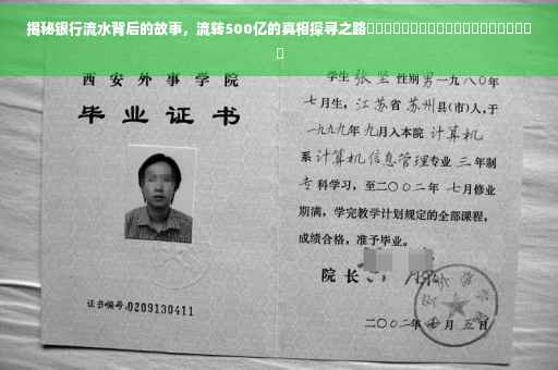 揭秘银行流水背后的故事，流转500亿的真相探寻之路​​​​​​​​​​​​​​​​​​​​