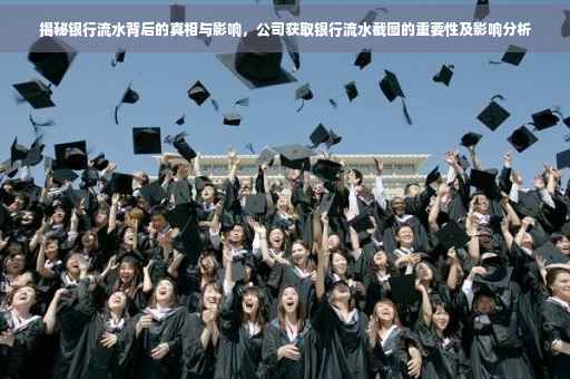 揭秘银行流水背后的真相与影响，公司获取银行流水截图的重要性及影响分析